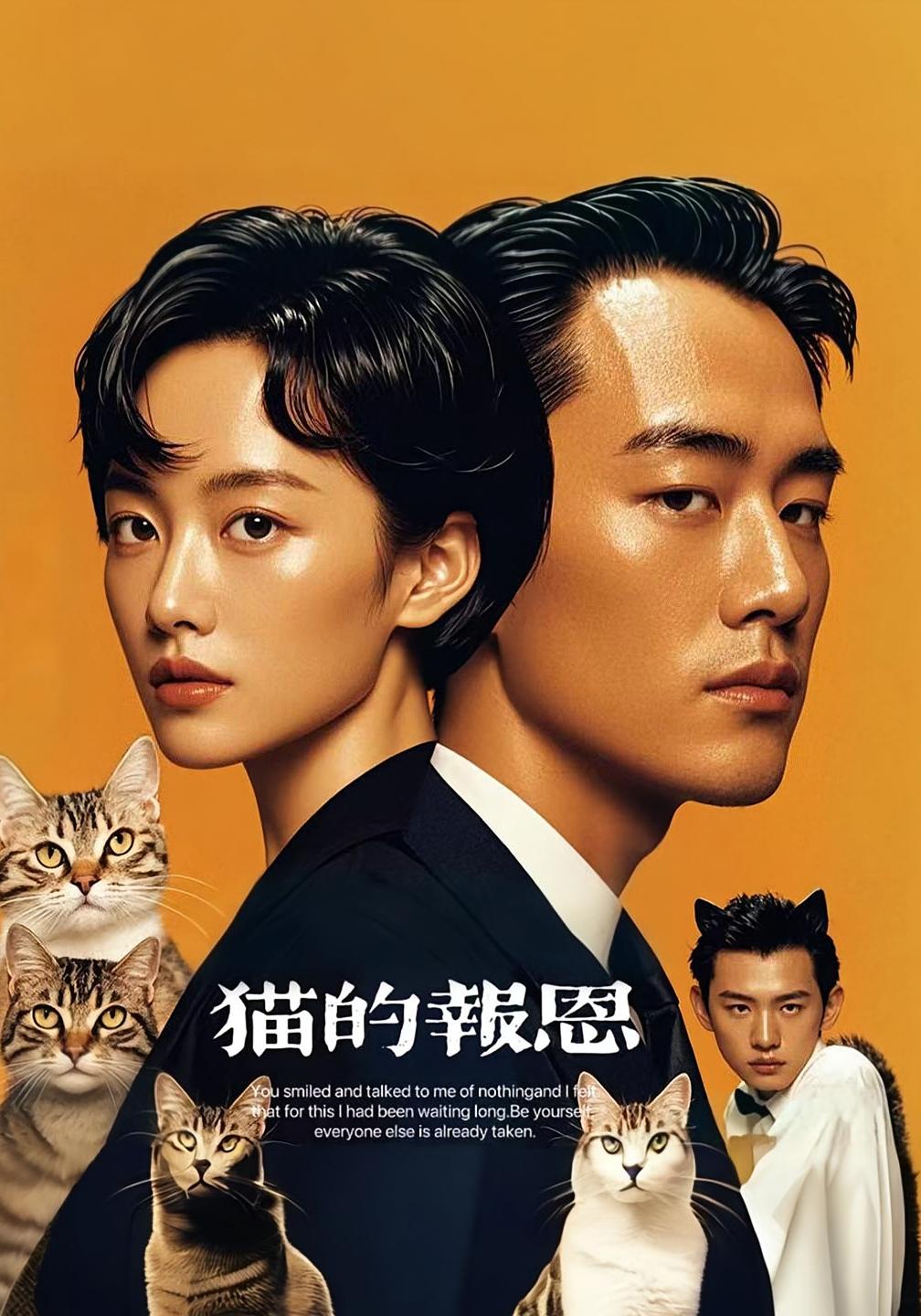 猫的报恩（短）封面图