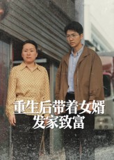 重生後帶著女婿發家致富