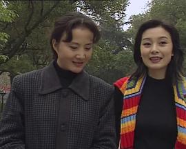 望月湖的故事封面图