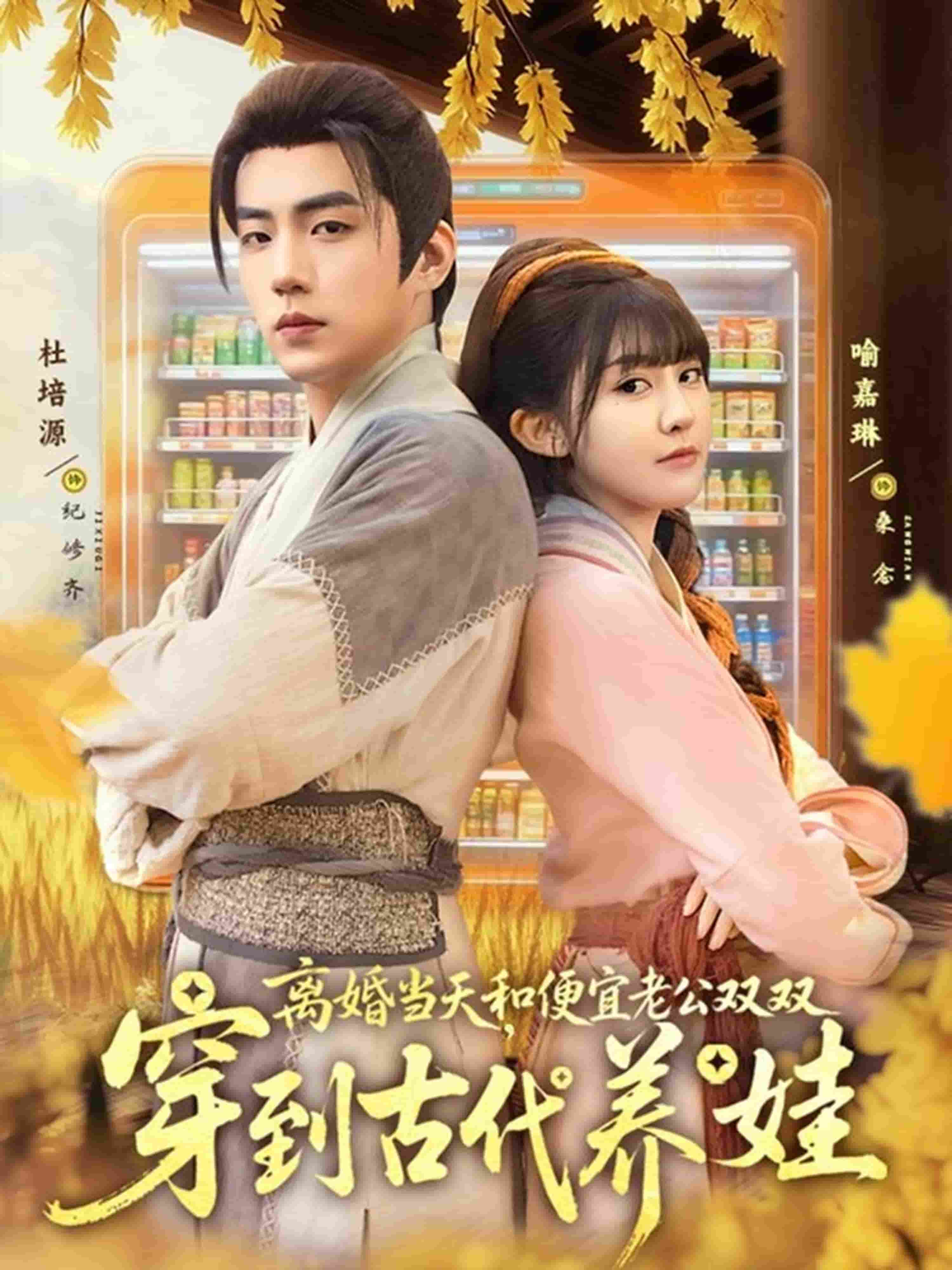 离婚当天，和便宜老公双双穿到古代养娃封面图