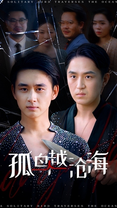 孤鸟越沧海封面图