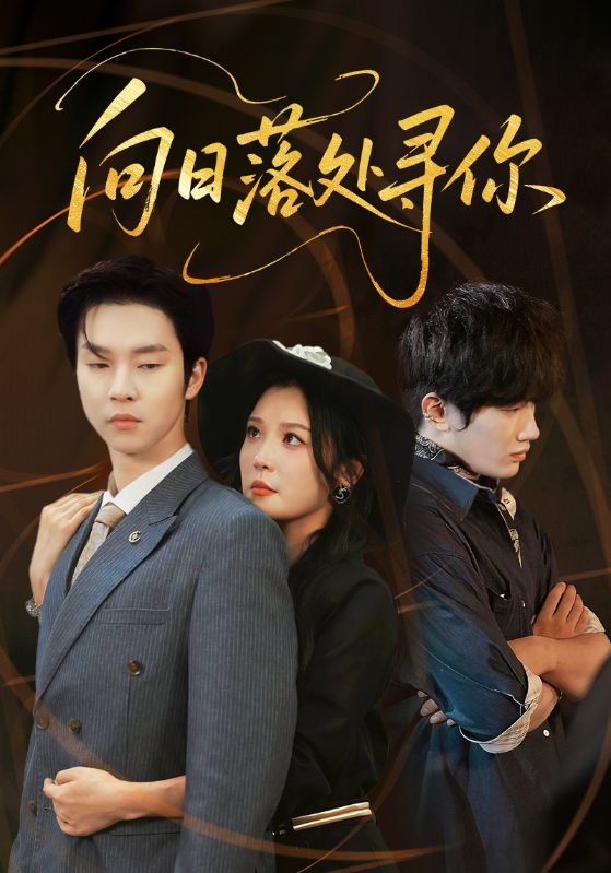 向日落处寻你封面图