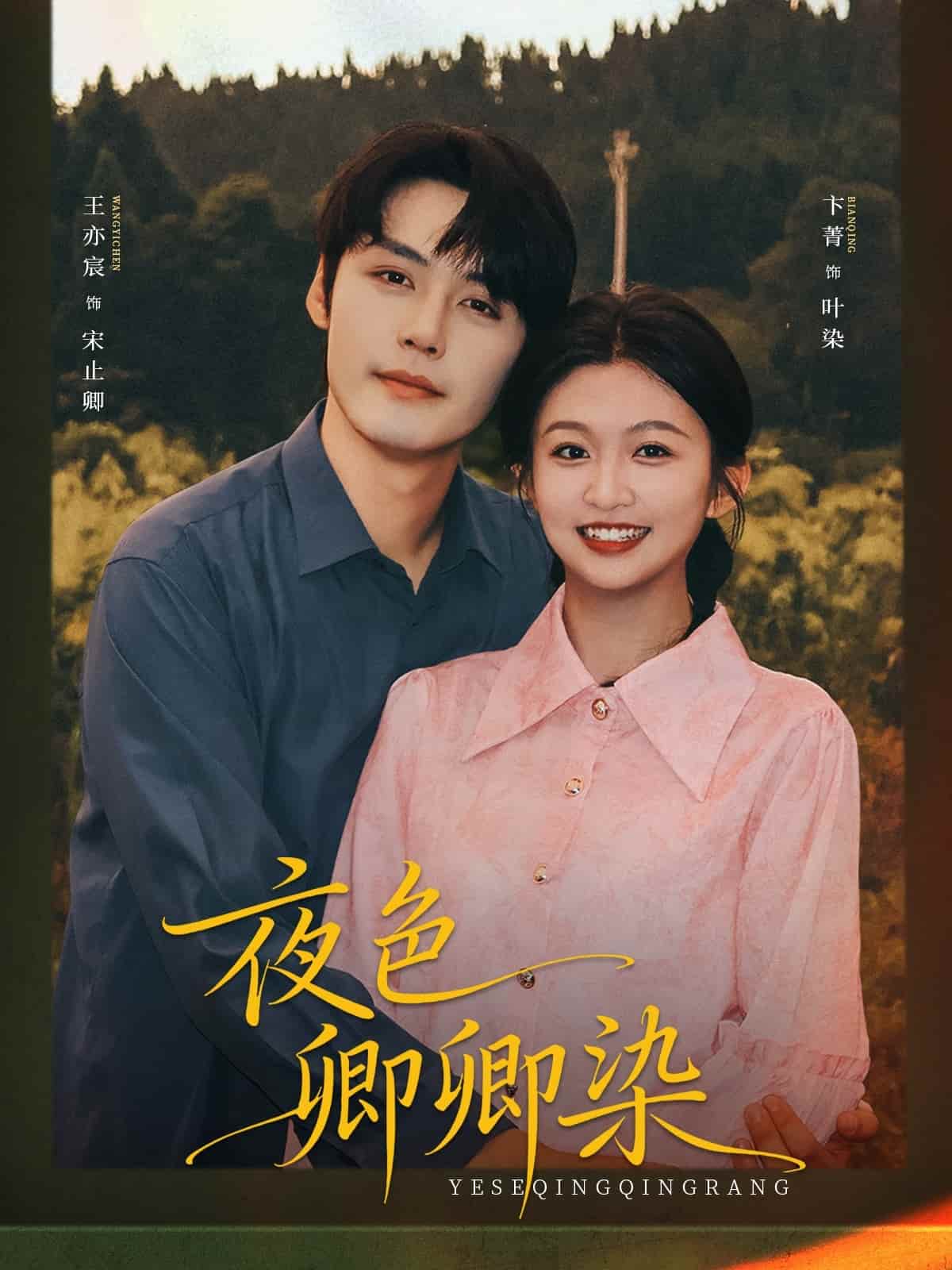 夜色卿卿染封面图