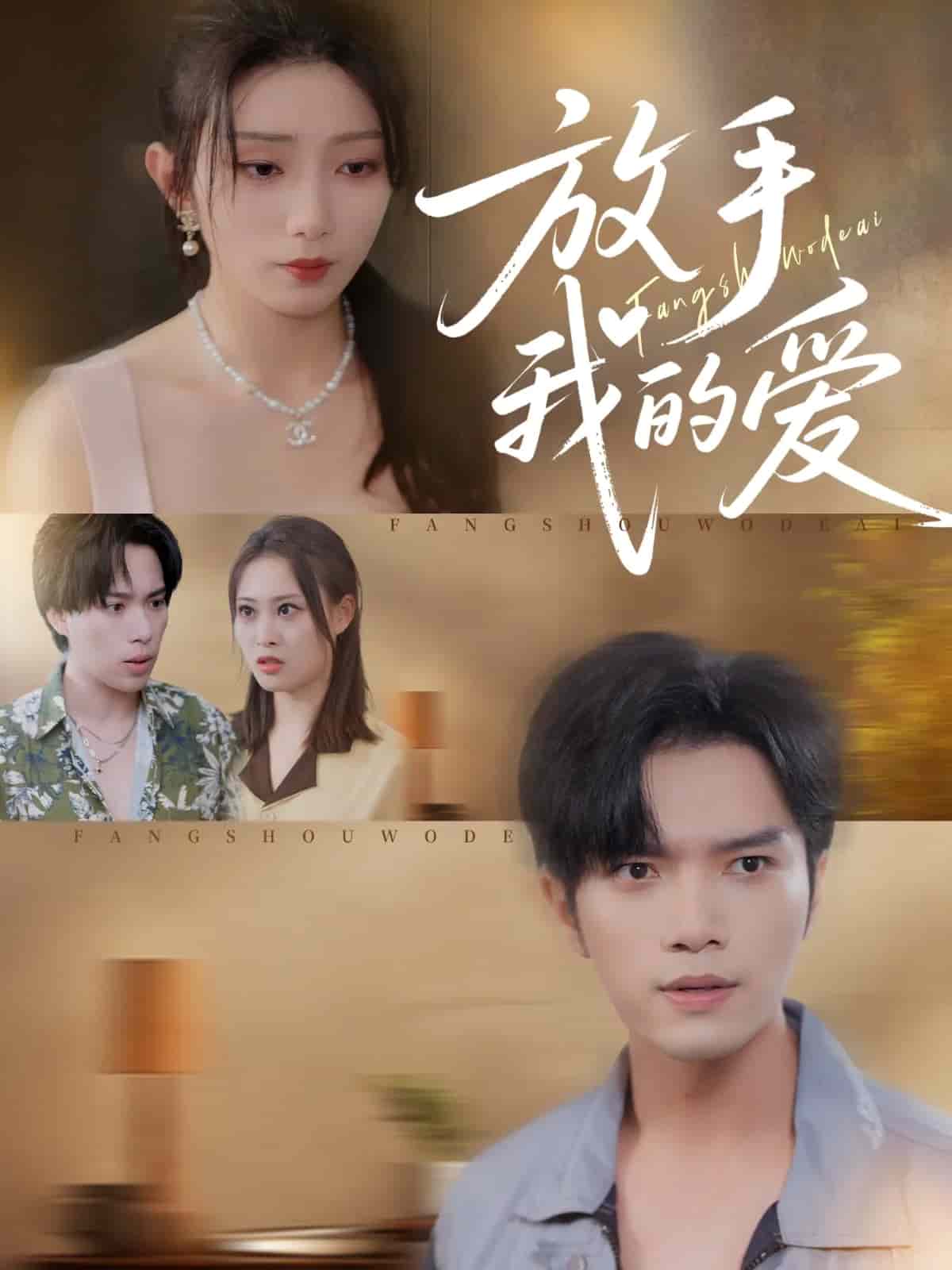 放手我的爱封面图