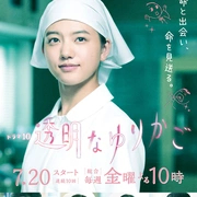 透明的摇篮封面图