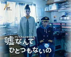 谎言什么的一个都没有封面图