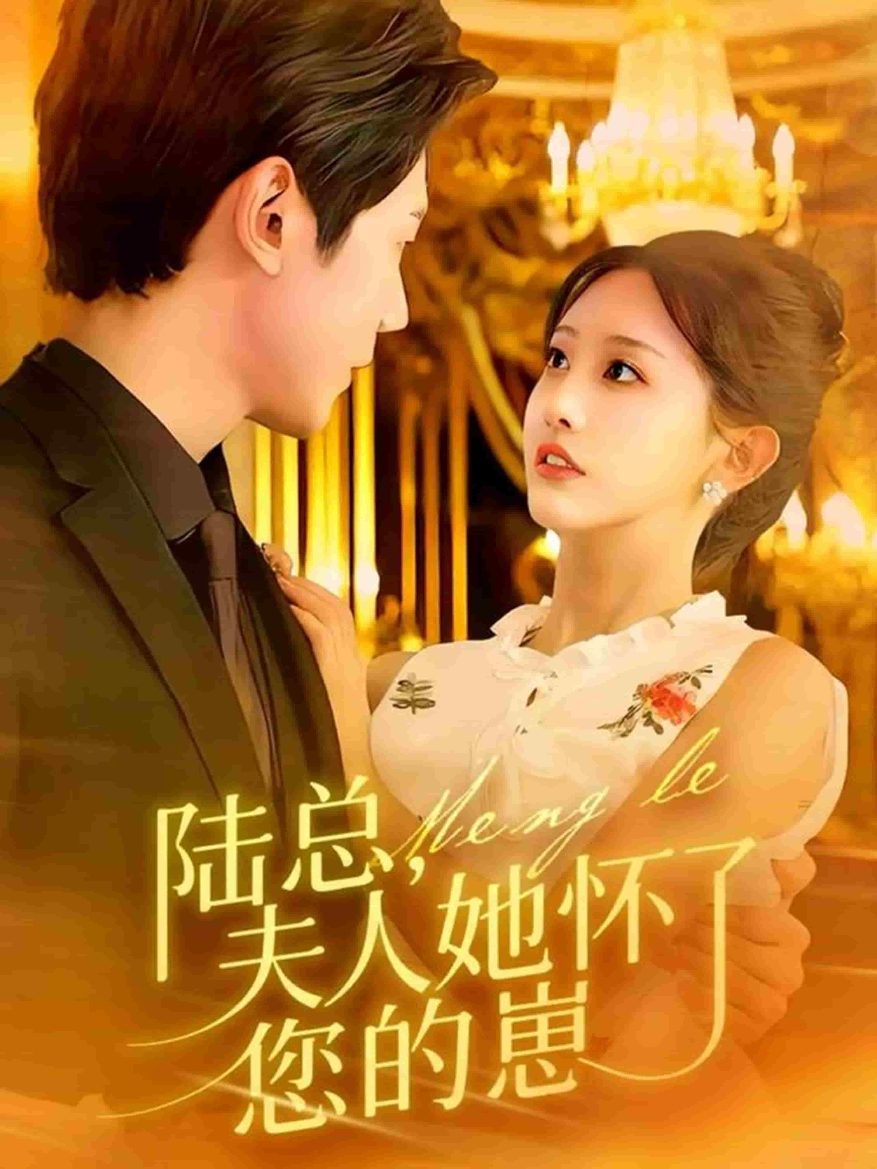 陆总，夫人她怀了您的崽