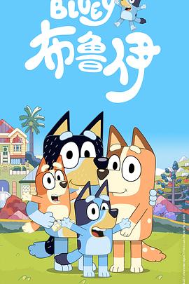 布鲁伊封面图